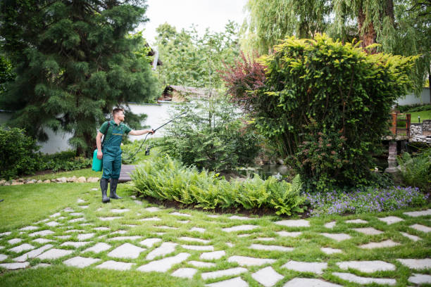 Best Cockroach Control Services  in Champlin, MN