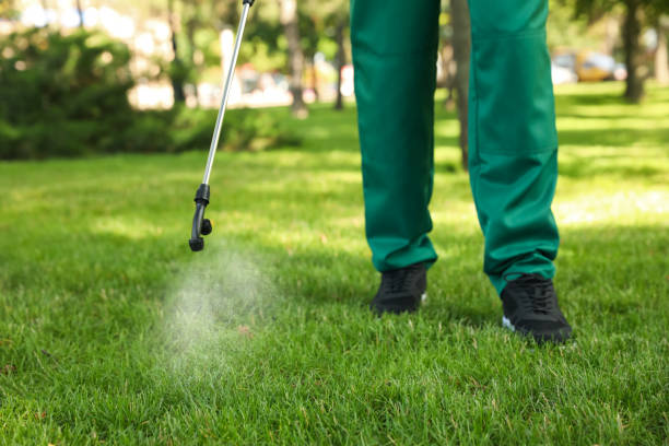 Best Ant Control Services  in Champlin, MN