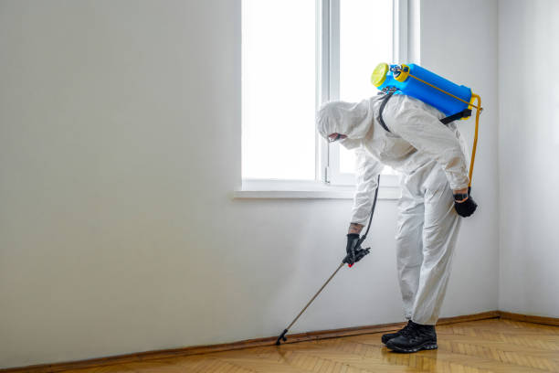 Best Local Pest Control Services  in Champlin, MN