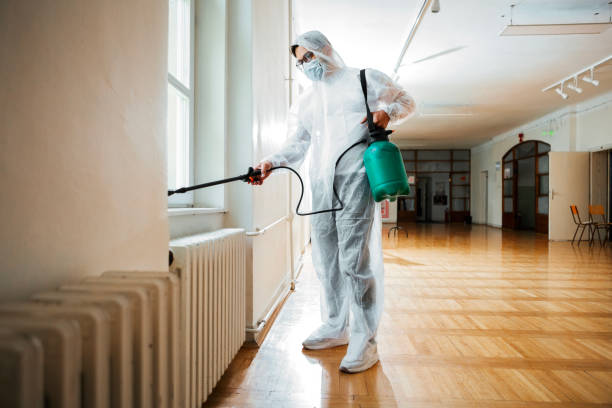 Best Cockroach Control Services  in Champlin, MN