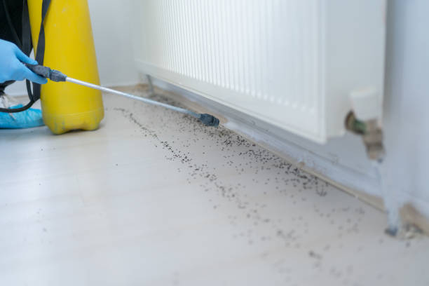 Professional Pest Control in Champlin, MN